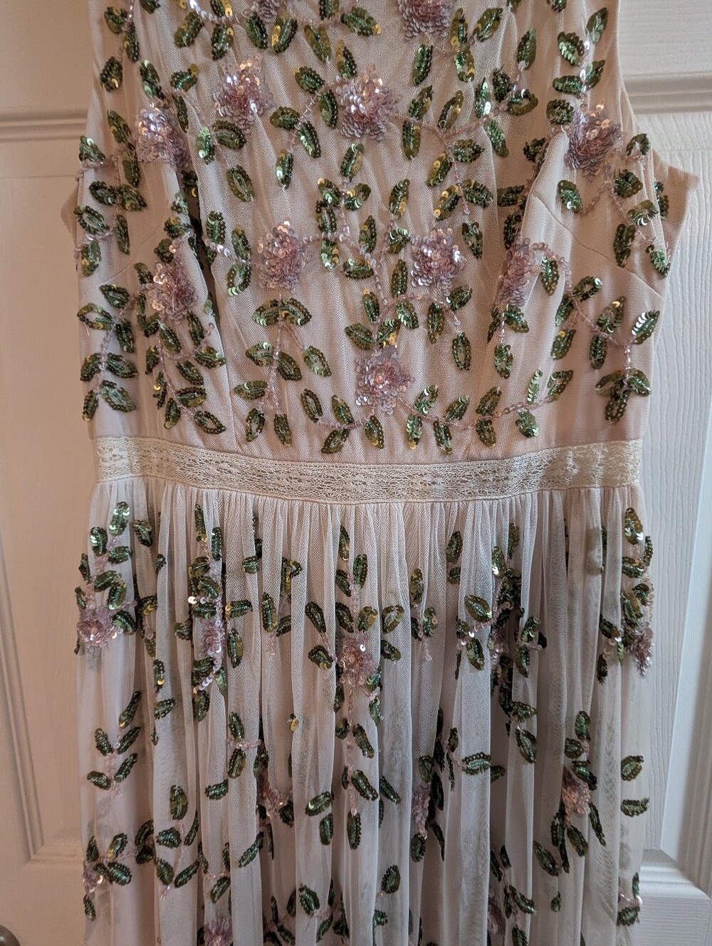 BHLDN x Adrianna Papell Samba Beaded Gown SIZE 10 - Picture 3 of 14